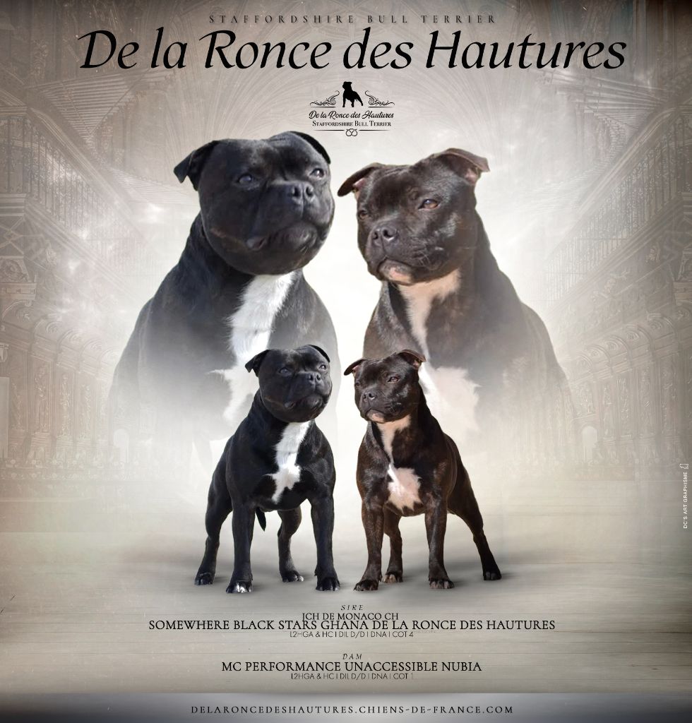 Bébés à venir !! 